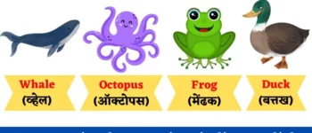 पानी वाले जानवरों के नाम हिंदी व अंग्रेजी | Water Animals Name in Hindi & English With Pictures