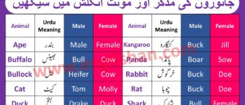 Masculine and Feminine Words | Gender of Nouns