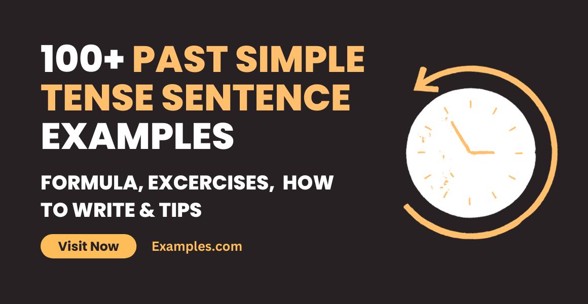 Past Simple Tense Sentence