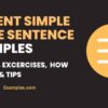 Present Simple Tense Sentence